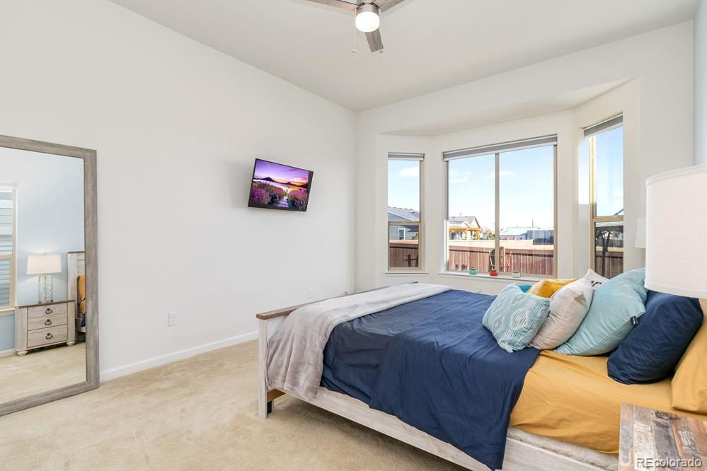 2944 Zephyr Road Fort Collins, CO 80528 - Photo 19 of 35 a bedroom with bed and a large window