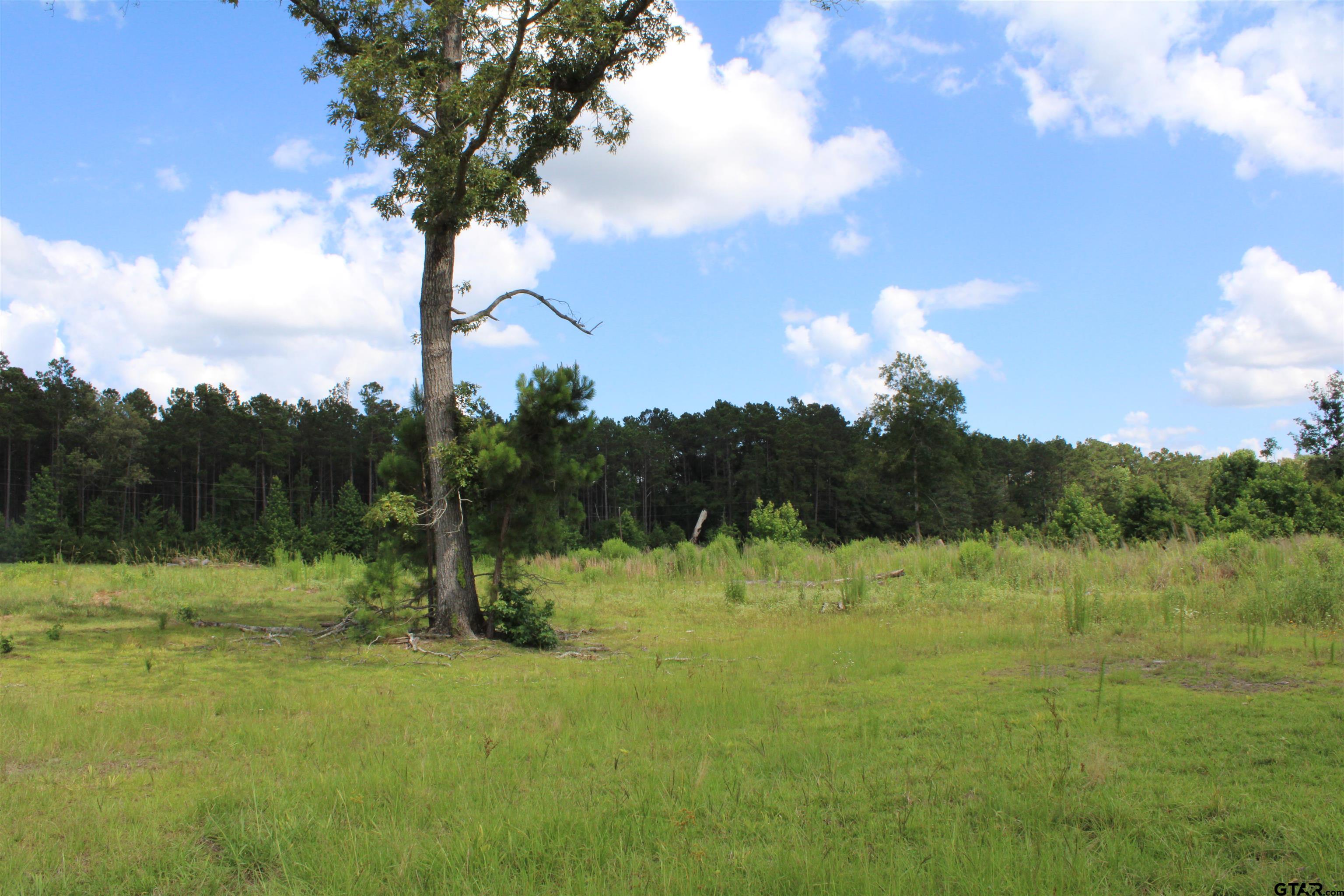 1110 - Tract 4 Rusk Tx 75785 Rusk, TX 75785 - Photo 2 of 13