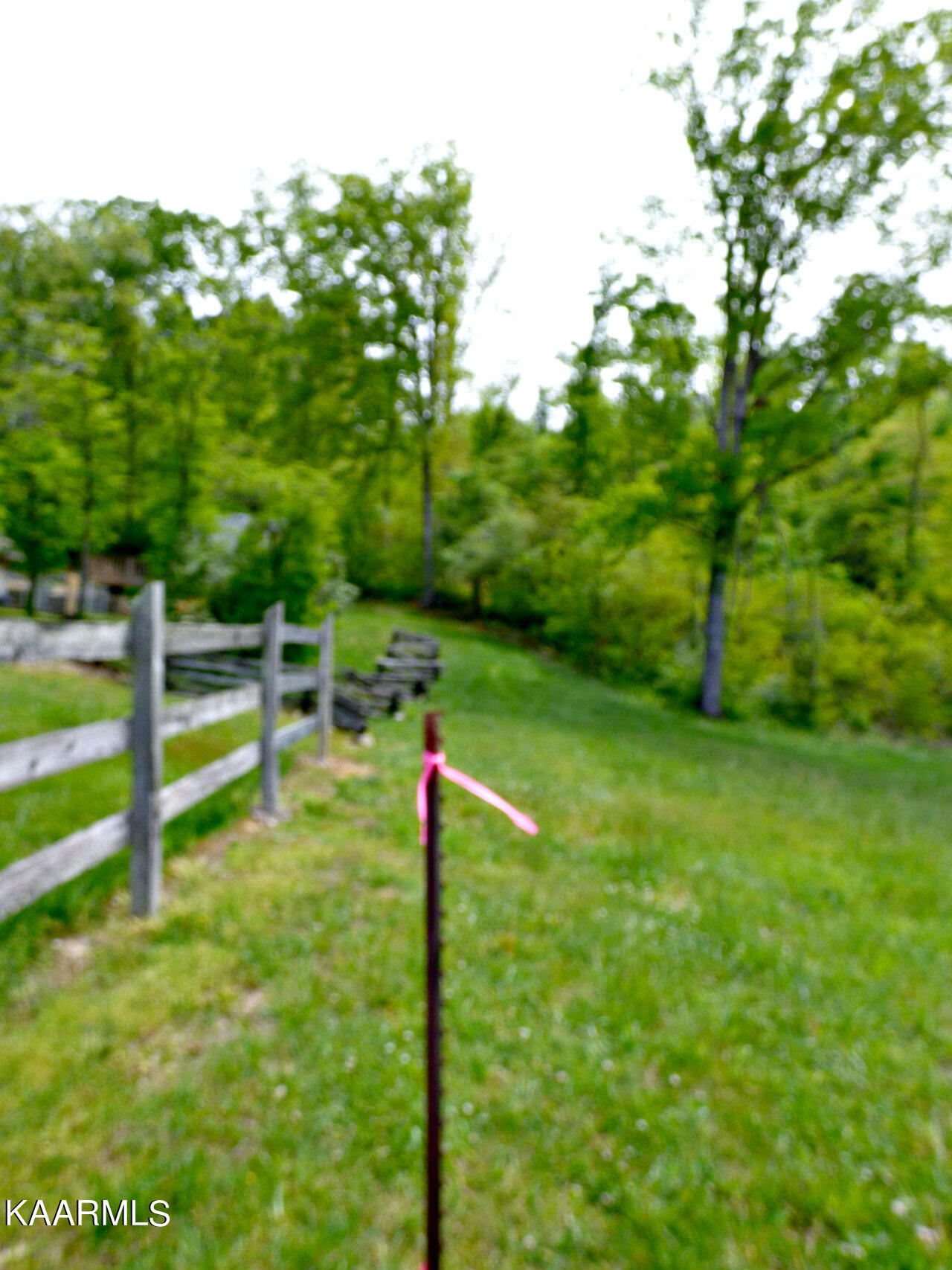 Lot 58 Camellia Road Newport, TN 37821 - Photo 2 of 13 P1270432