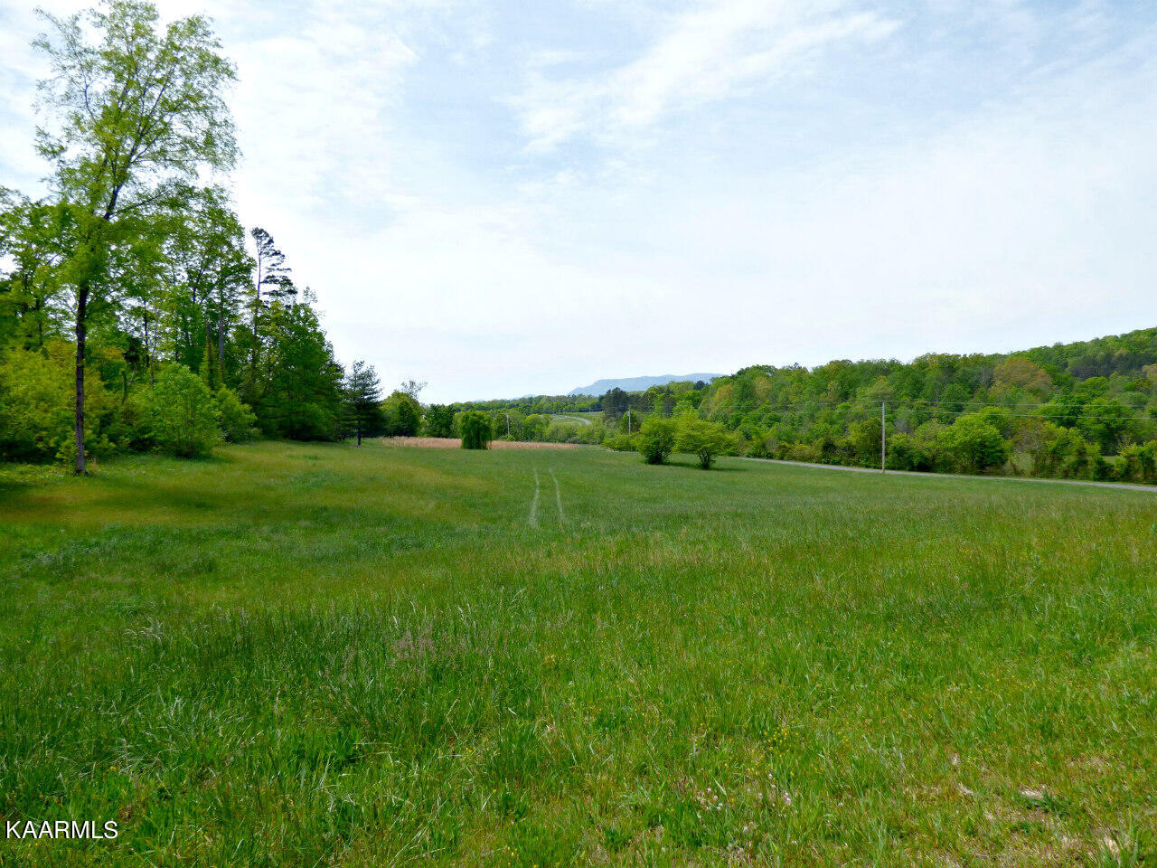 Lot 58 Camellia Road Newport, TN 37821 - Photo 3 of 13 P1270434