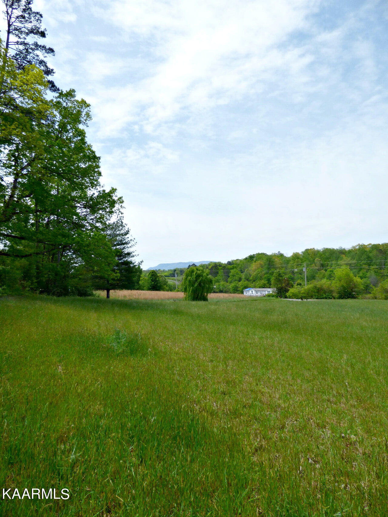 Lot 58 Camellia Road Newport, TN 37821 - Photo 5 of 13 P1270438