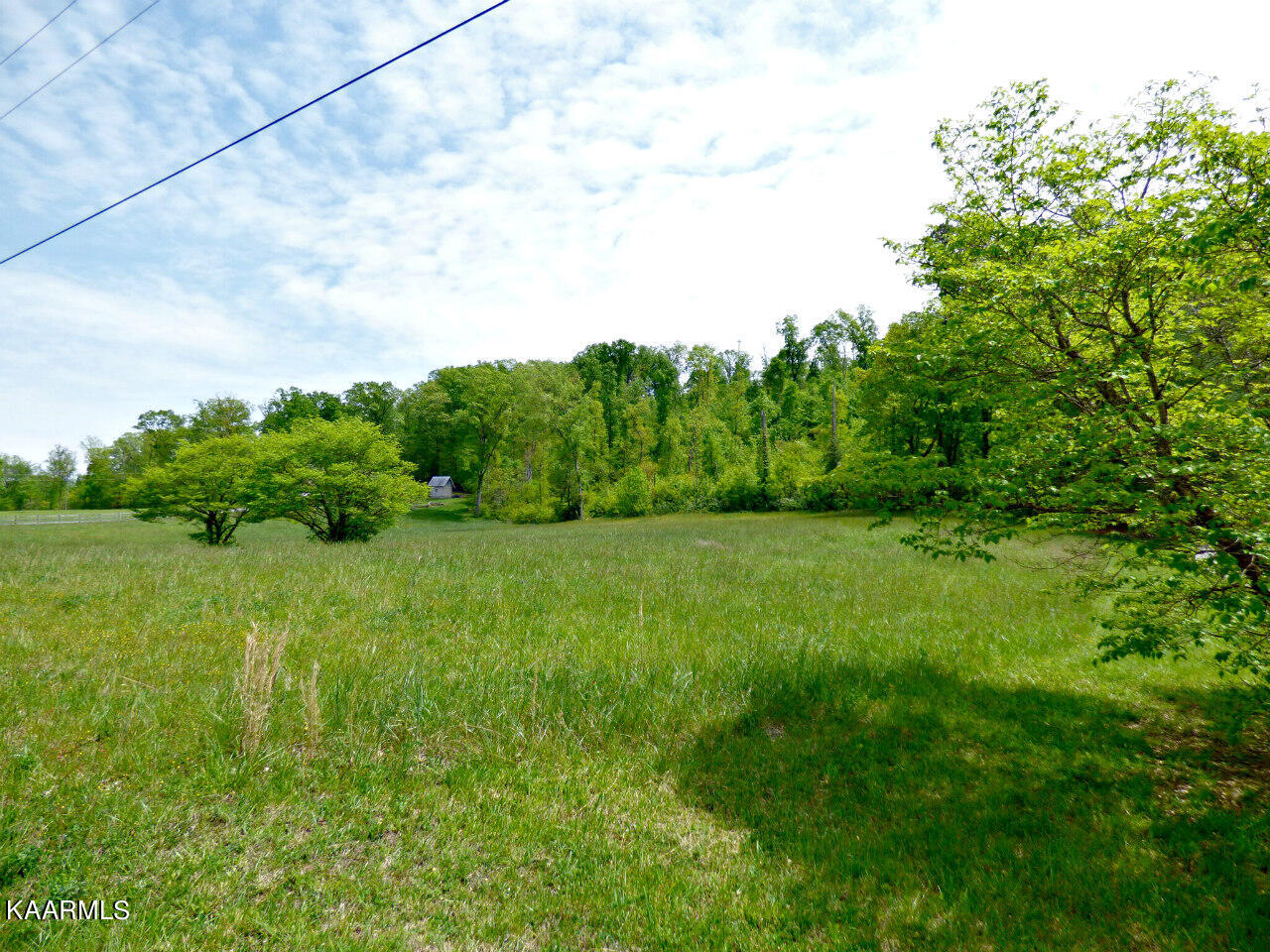 Lot 58 Camellia Road Newport, TN 37821 - Photo 6 of 13 P1270440