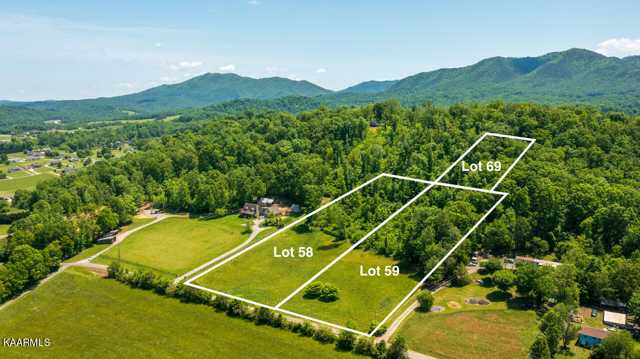 Lot 58 Camellia Road Newport, TN 37821 - Photo 10 of 13 homesandvideos aerials-3868 lines