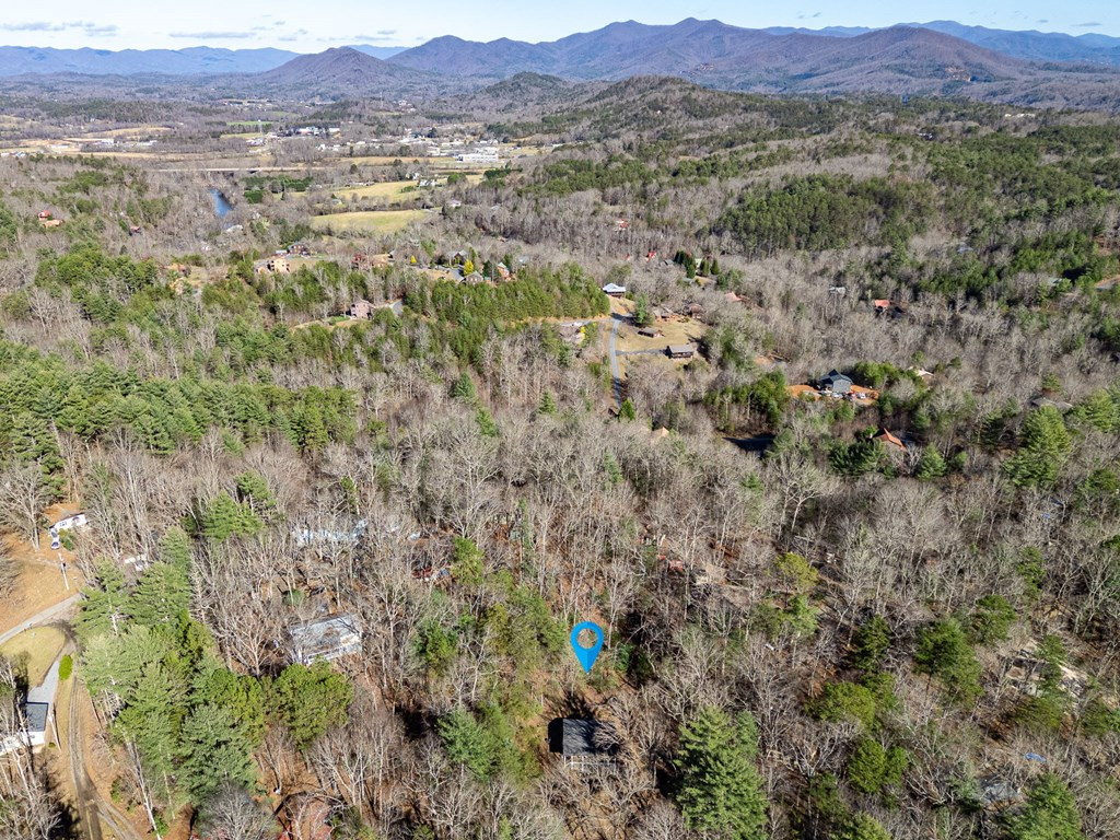 45 Mountain Stream Road Murphy, NC 28906 - Photo 37 of 43