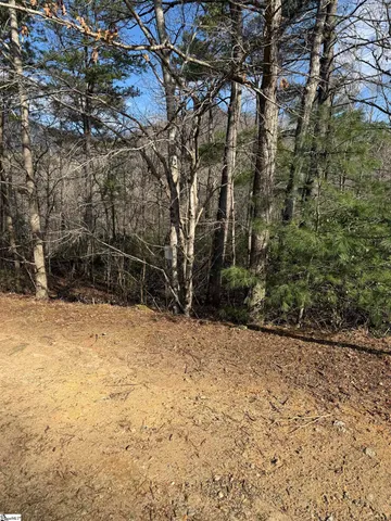 $20,690 | 25 Lake Hills Lane, Travelers Rest, SC 29690