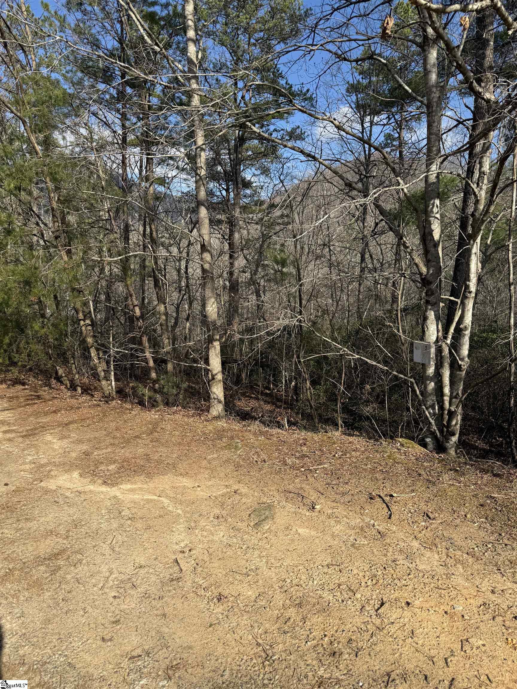 25 Lake Hills Lane Travelers Rest, SC 29690 - Photo 3 of 10