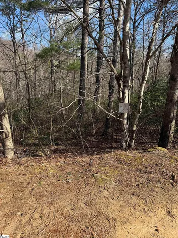 $20,690 | 25 Lake Hills Lane, Travelers Rest, SC 29690