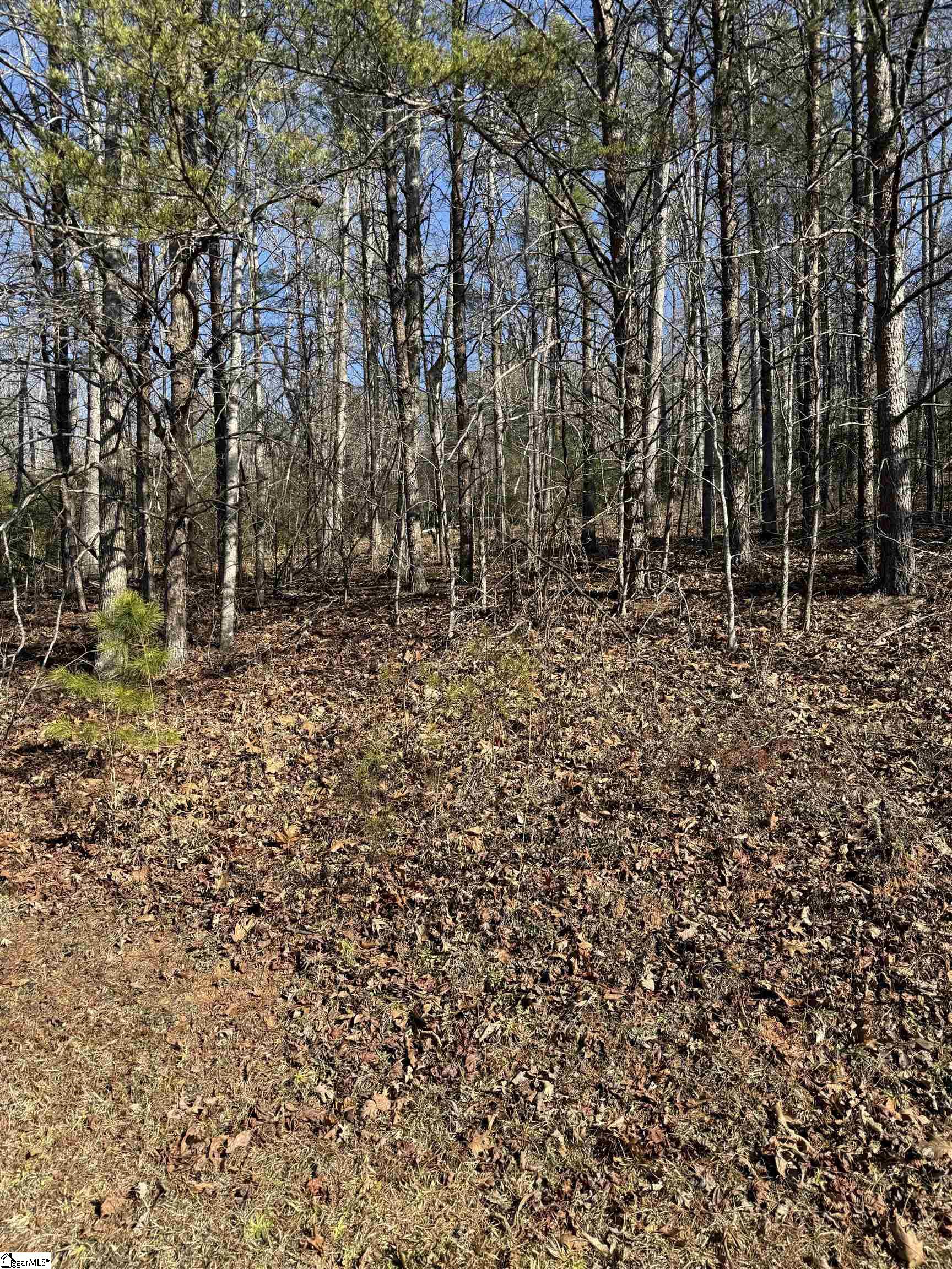 25 Lake Hills Lane Travelers Rest, SC 29690 - Photo 7 of 10