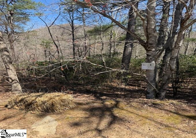 25 Lake Hills Lane Travelers Rest, SC 29690 - Photo 8 of 10 25 lake Hills Lane