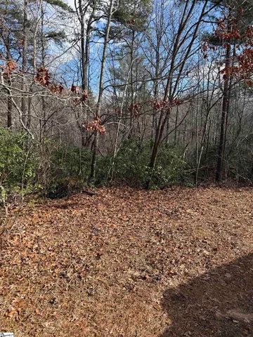 $20,690 | 25 Lake Hills Lane, Travelers Rest, SC 29690