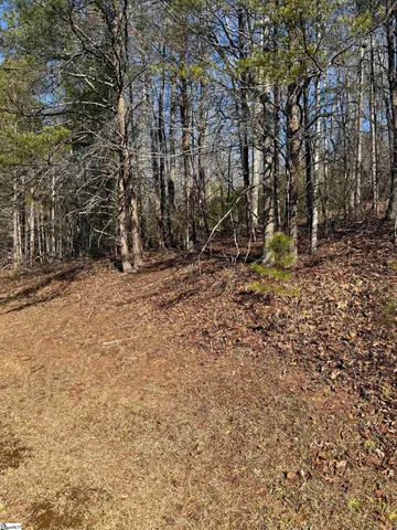 $20,690 | 25 Lake Hills Lane, Travelers Rest, SC 29690