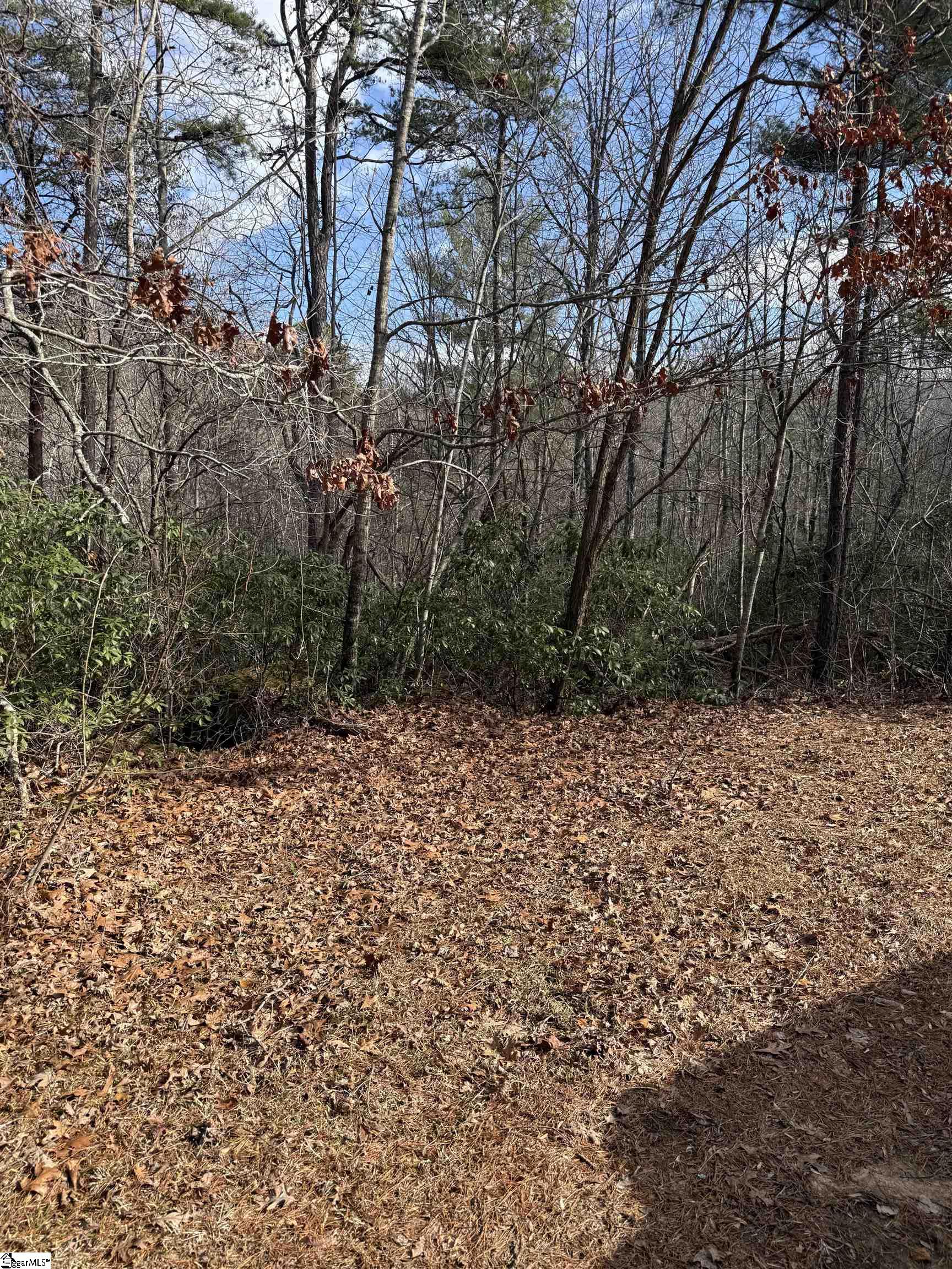 25 Lake Hills Lane Travelers Rest, SC 29690 - Photo 9 of 10