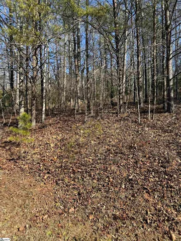 $20,690 | 25 Lake Hills Lane, Travelers Rest, SC 29690