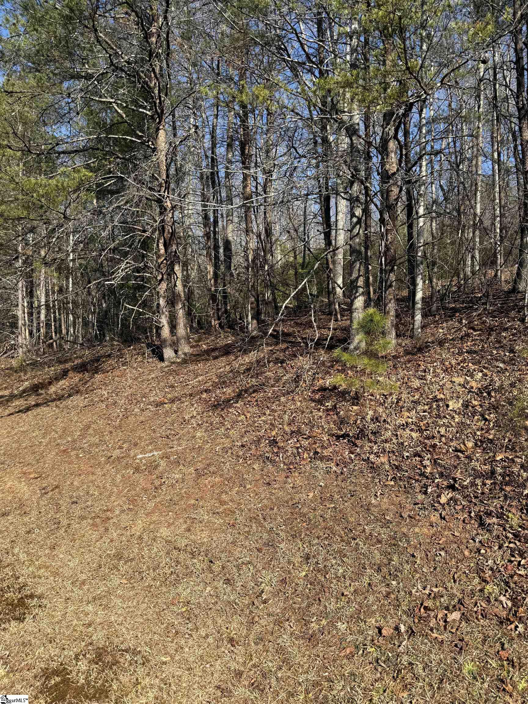 25 Lake Hills Lane Travelers Rest, SC 29690 - Photo 10 of 10