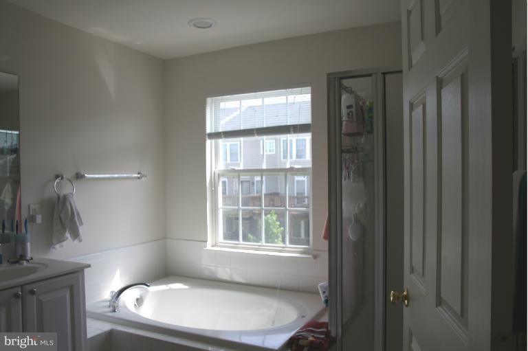 25272 Curiosity Square Aldie, VA 20105 - Photo 18 of 26 Bath (Master)