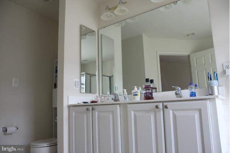 25272 Curiosity Square Aldie, VA 20105 - Photo 19 of 26 Bath (Master)