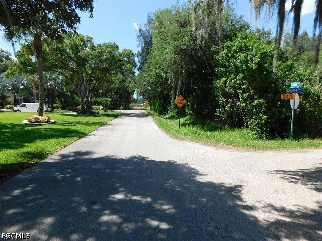14971 Duke Highway Alva, FL 33920 - Photo 8 of 9 a view of a street with a yard and large trees