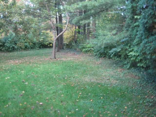 5276 Westbridge Road Columbus, OH 43231 - Photo 12 of 13 Gallery Image 12