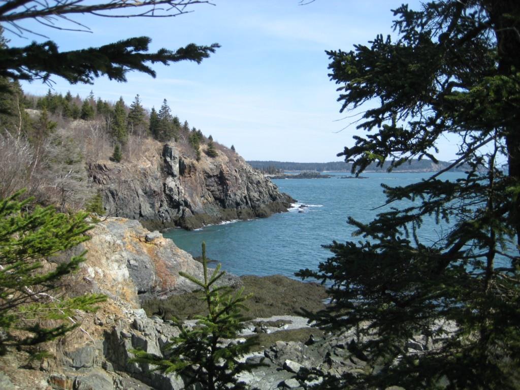 Lot 87.8 Shag Rock Road Lubec, ME 04652 - Photo 5 of 31 Rocky headlands!
