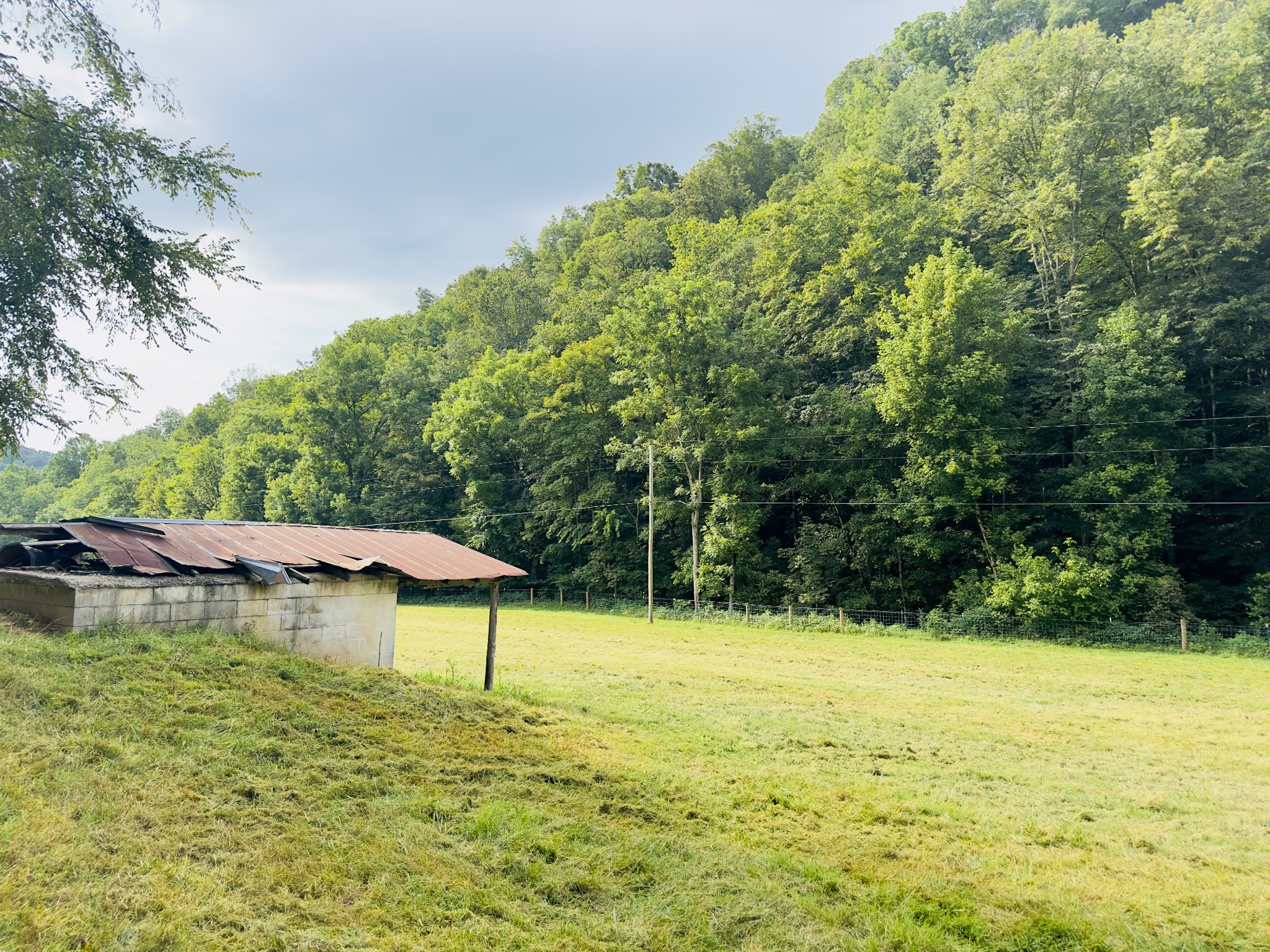 1611 Knob Creek Road Celina, TN 38551 - Photo 23 of 48