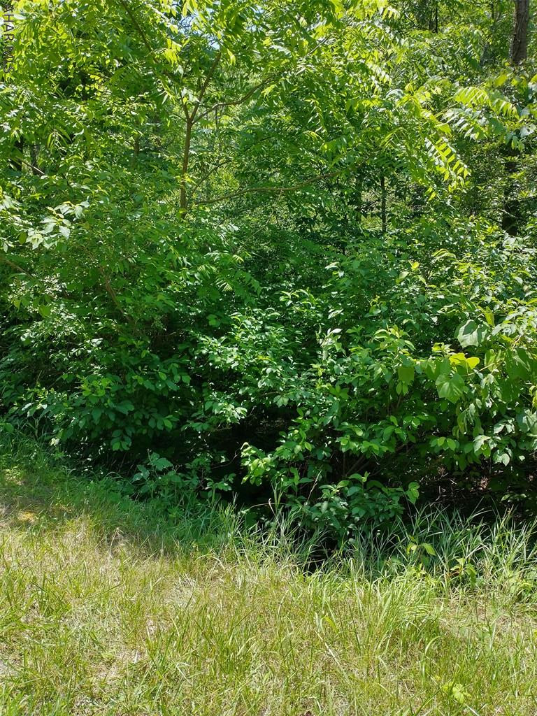 Off Smith Road Clearville, PA 15535 - Photo 8 of 47 a view of a garden