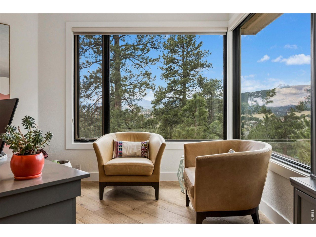 1424 Solitude Lane Evergreen, CO 80439 - Photo 14 of 46 a living room with furniture and a potted plant