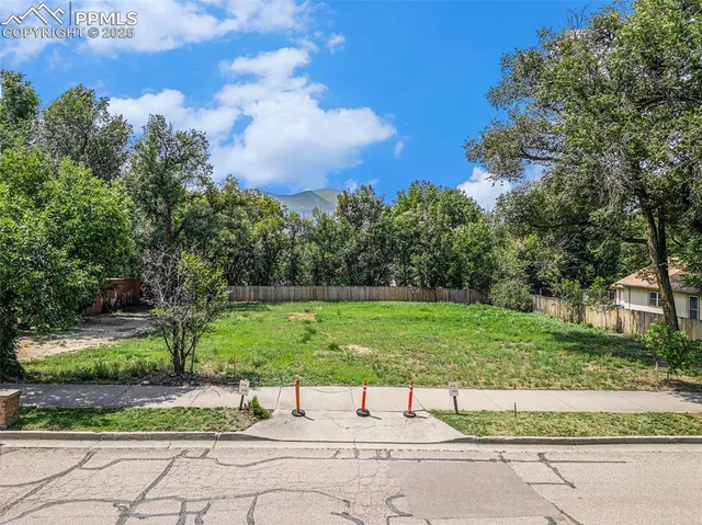 a view of a garden with a bench