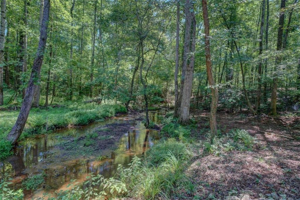 455 Bethany Road Covington, GA 30016 - Photo 38 of 39 a view of forest