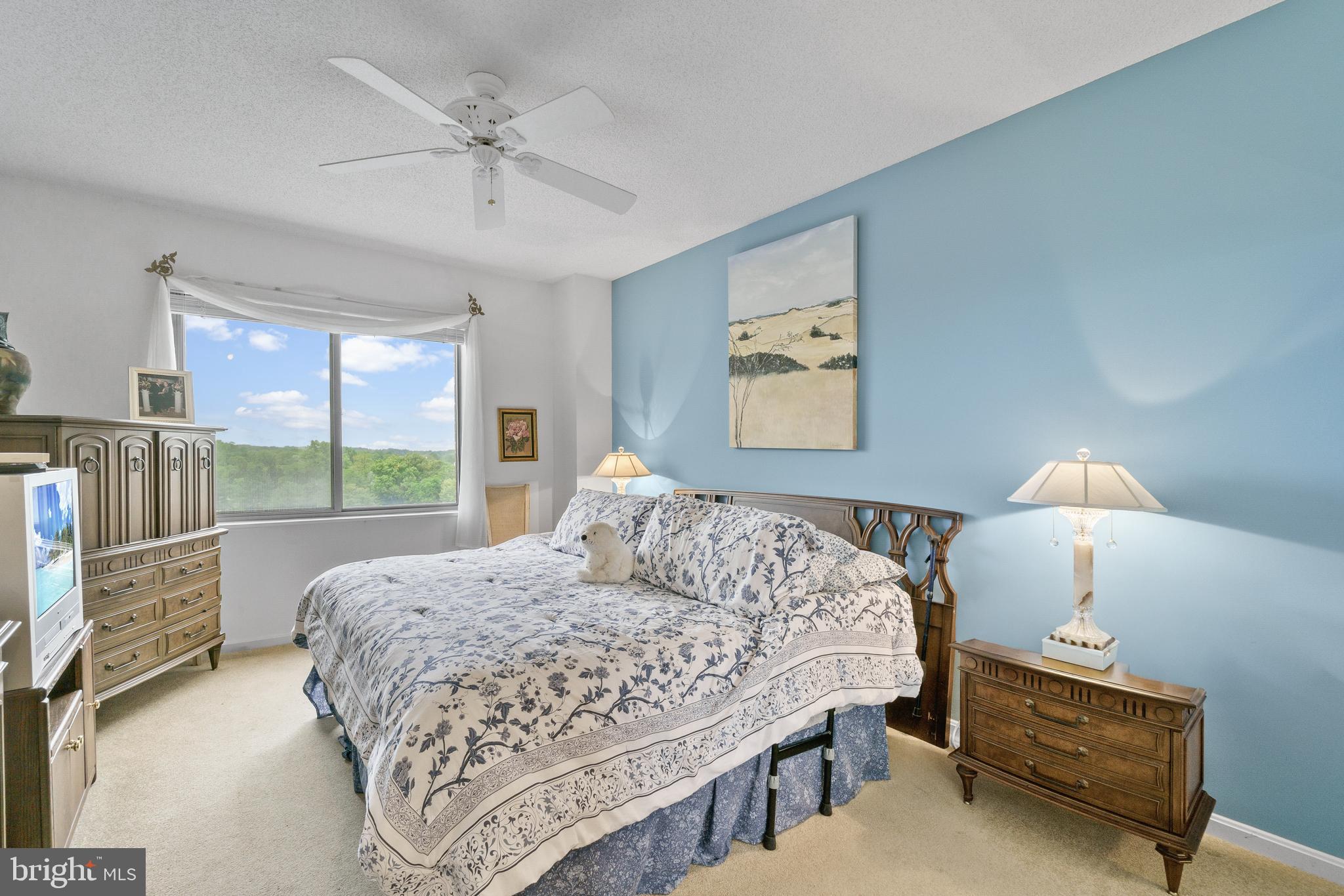 3210 North Leisure World Boulevard, Unit 908 Silver Spring, MD 20906 - Photo 14 of 33