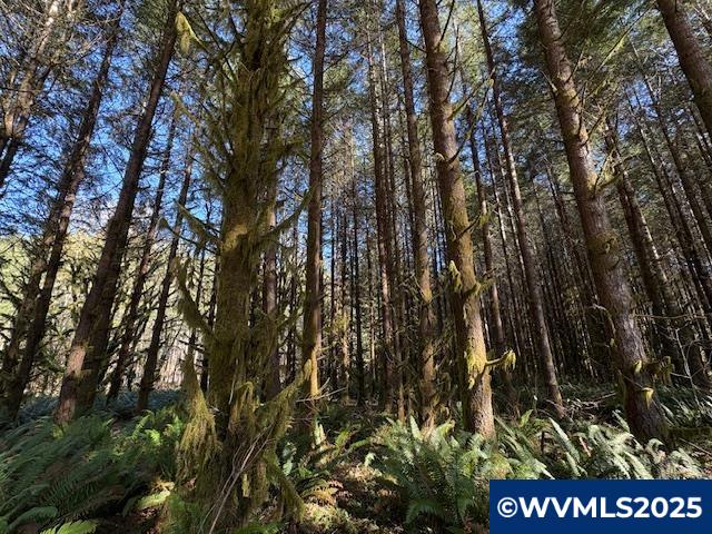 0 Logsden Road Blodgett, OR 97326 - Photo 18 of 24