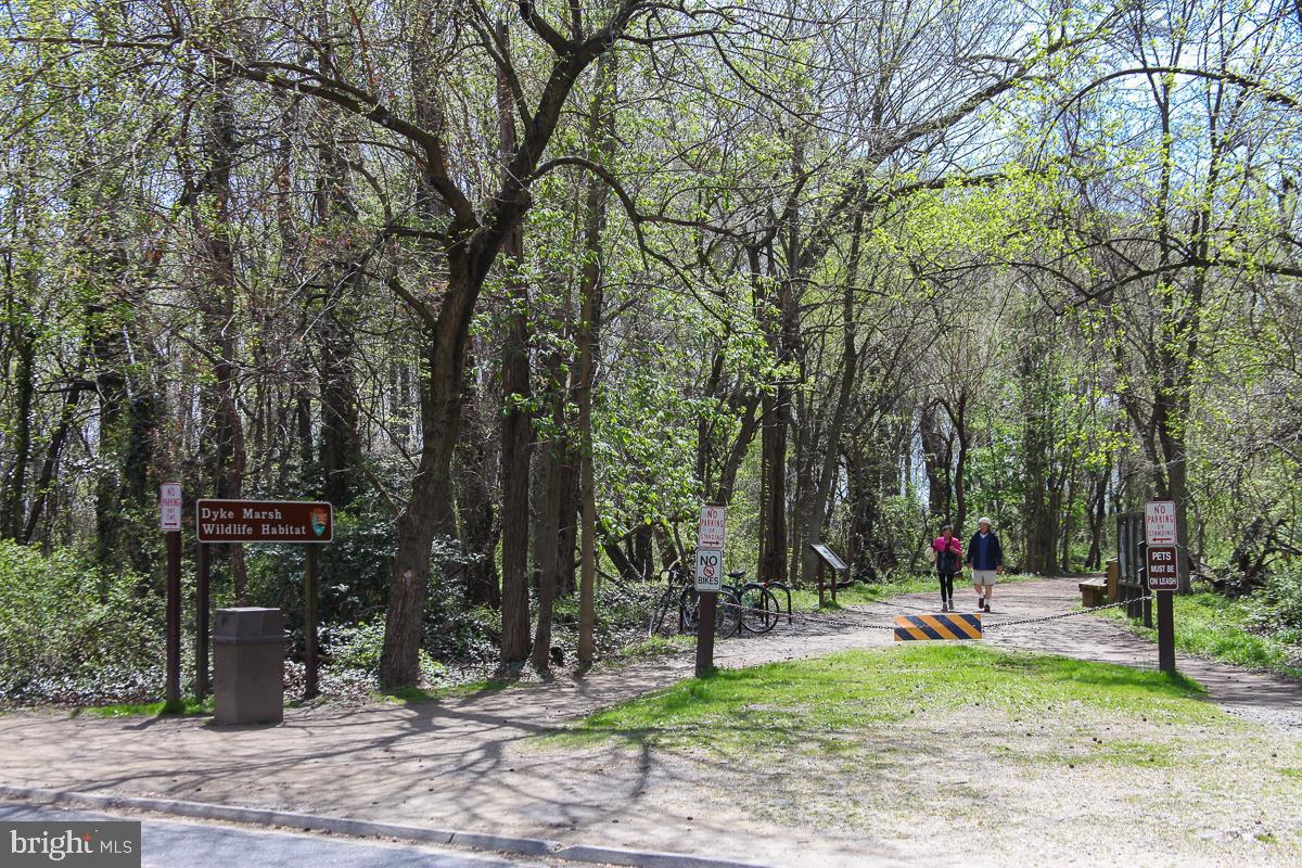 2101 Shenandoah Road Alexandria, VA 22308 - Photo 39 of 44 a view of a park with bench and trees