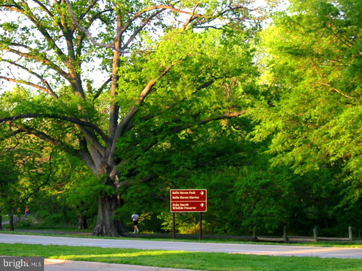 2101 Shenandoah Road Alexandria, VA 22308 - Photo 41 of 44 a view of a big yard