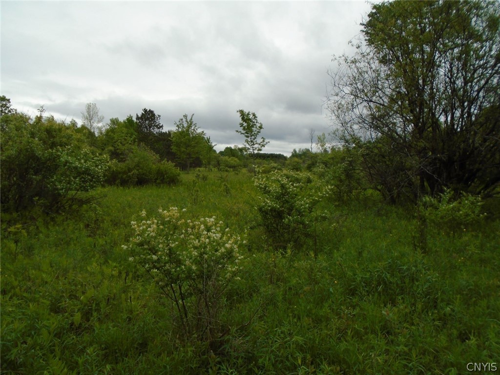 Lot B Pitcher Hill Road Pitcher, NY 13136 - Photo 21 of 29 Gallery Image 21