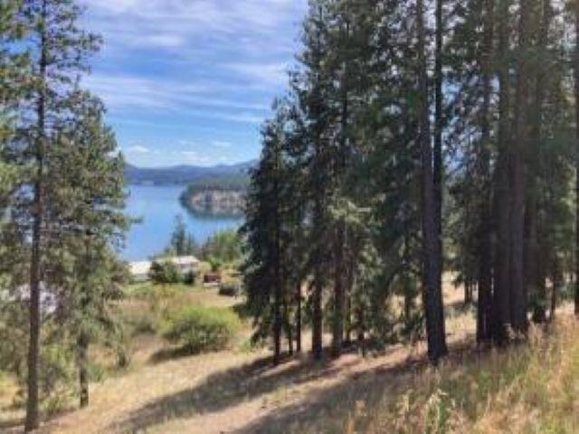 Lot 2 Kifer Spur Road Kettle Falls, WA 99141 - Photo 6 of 12 Gallery Image 6