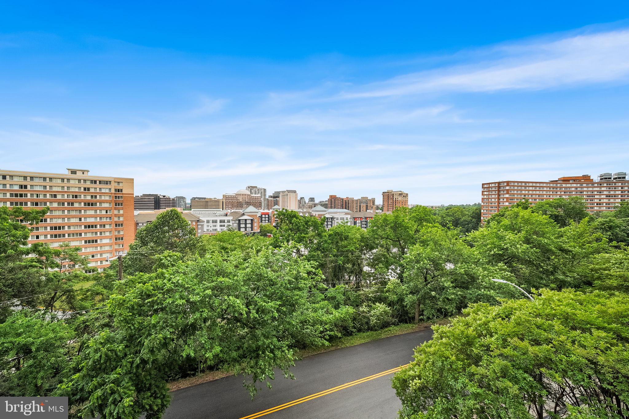 1101 South Arlington Ridge Road, Unit 212 Arlington, VA 22202 - Photo 56 of 93