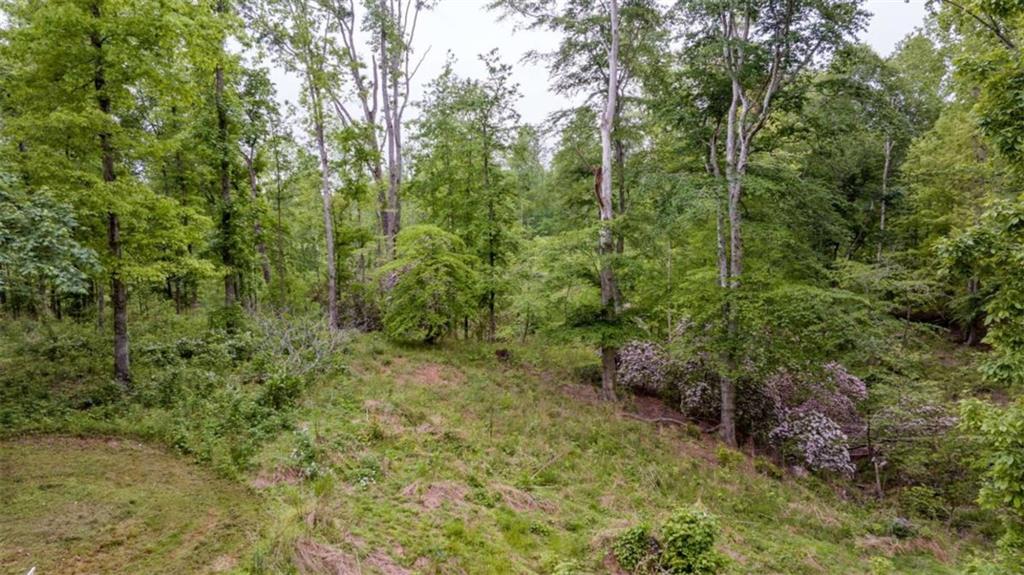 527 Louden Ridge Road Alto, GA 30510 - Photo 32 of 41