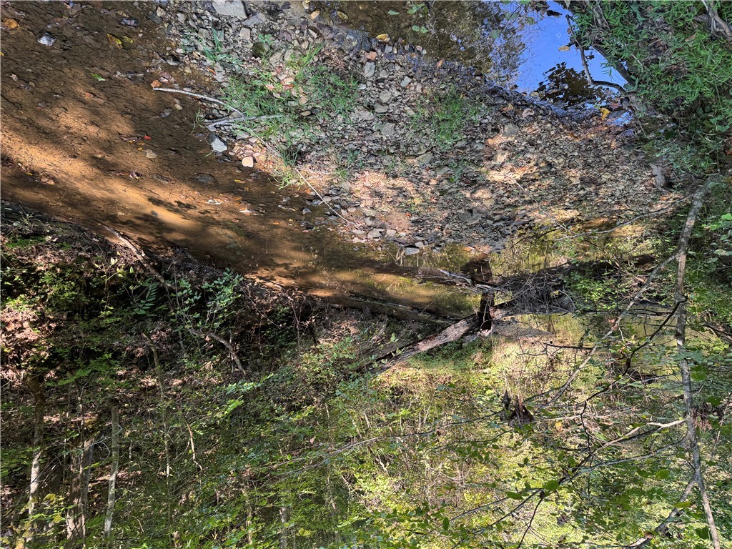 1282 Cobb Bridge Road Westminster, SC 29693 - Photo 11 of 27