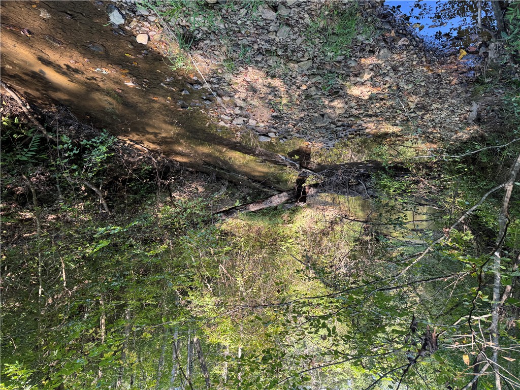 1282 Cobb Bridge Road Westminster, SC 29693 - Photo 12 of 27