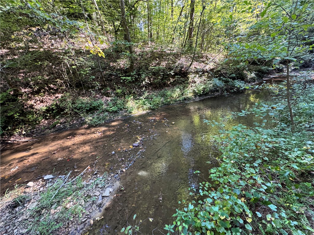 1282 Cobb Bridge Road Westminster, SC 29693 - Photo 13 of 27