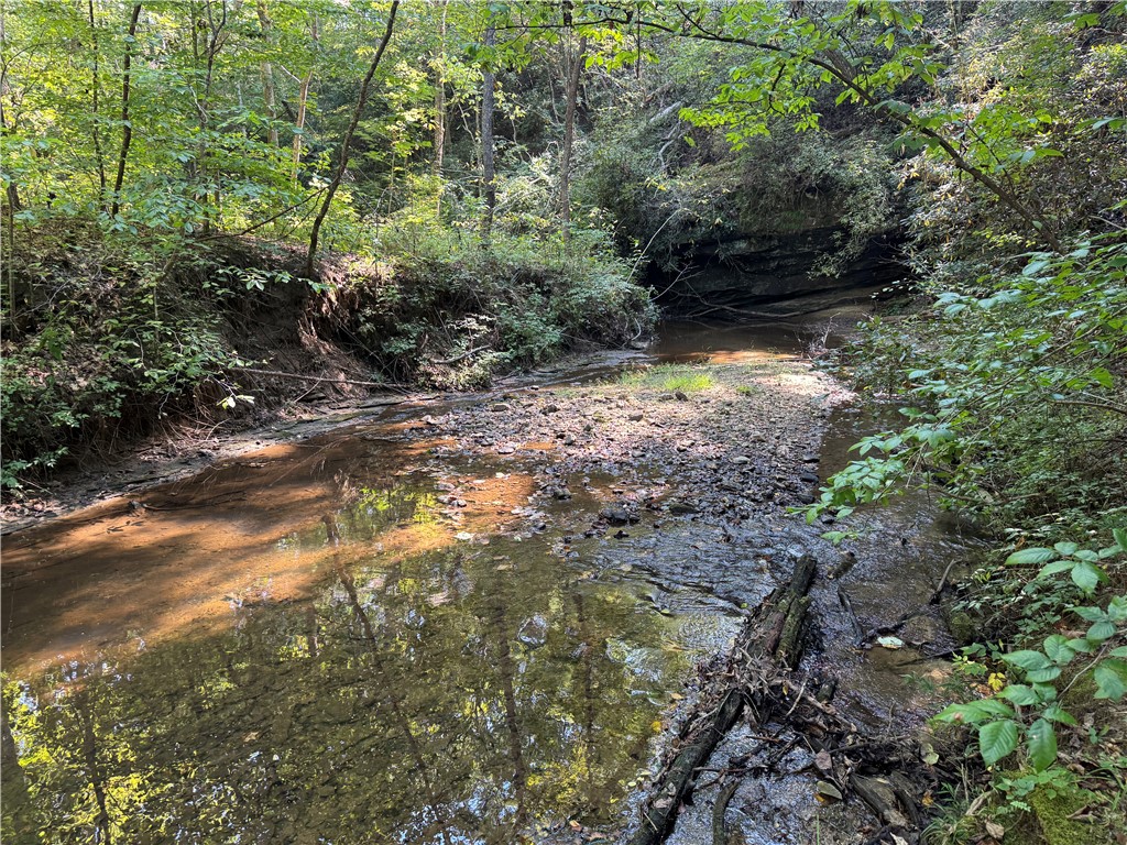 1282 Cobb Bridge Road Westminster, SC 29693 - Photo 14 of 27