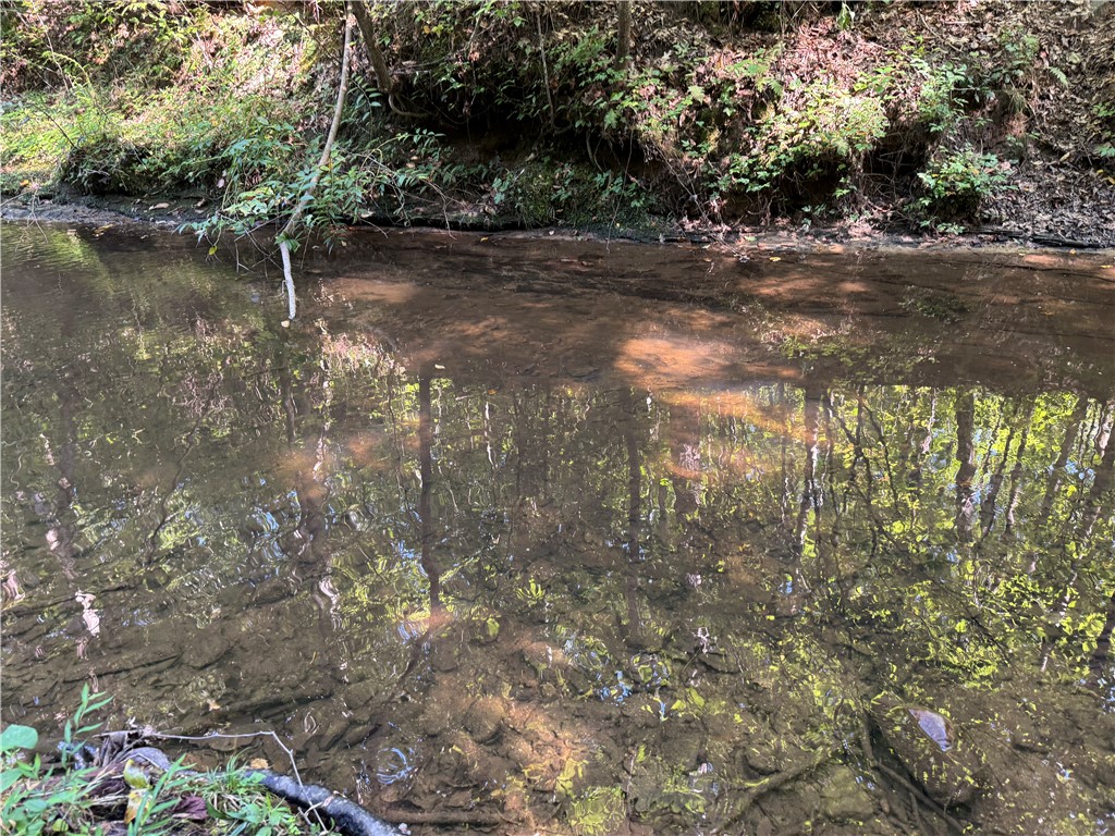 1282 Cobb Bridge Road Westminster, SC 29693 - Photo 16 of 27