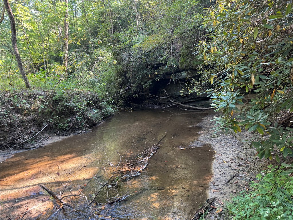 1282 Cobb Bridge Road Westminster, SC 29693 - Photo 18 of 27