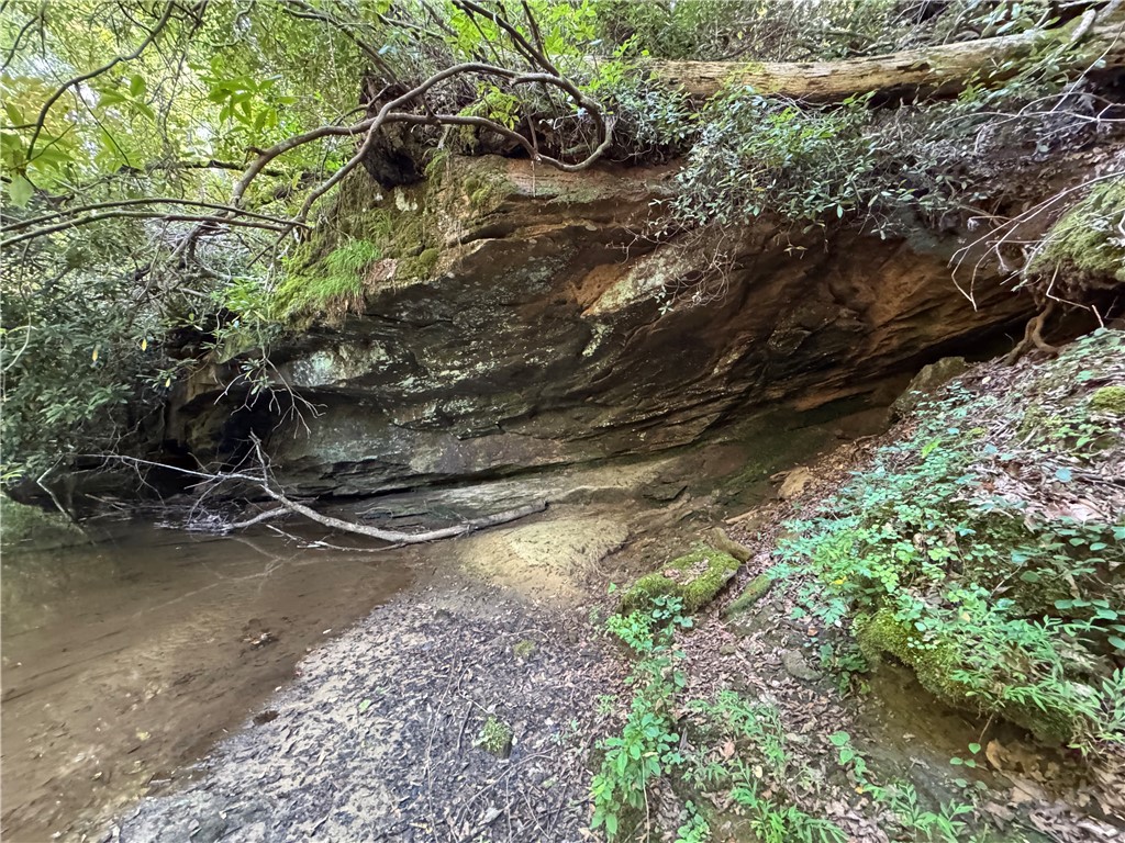 1282 Cobb Bridge Road Westminster, SC 29693 - Photo 19 of 27