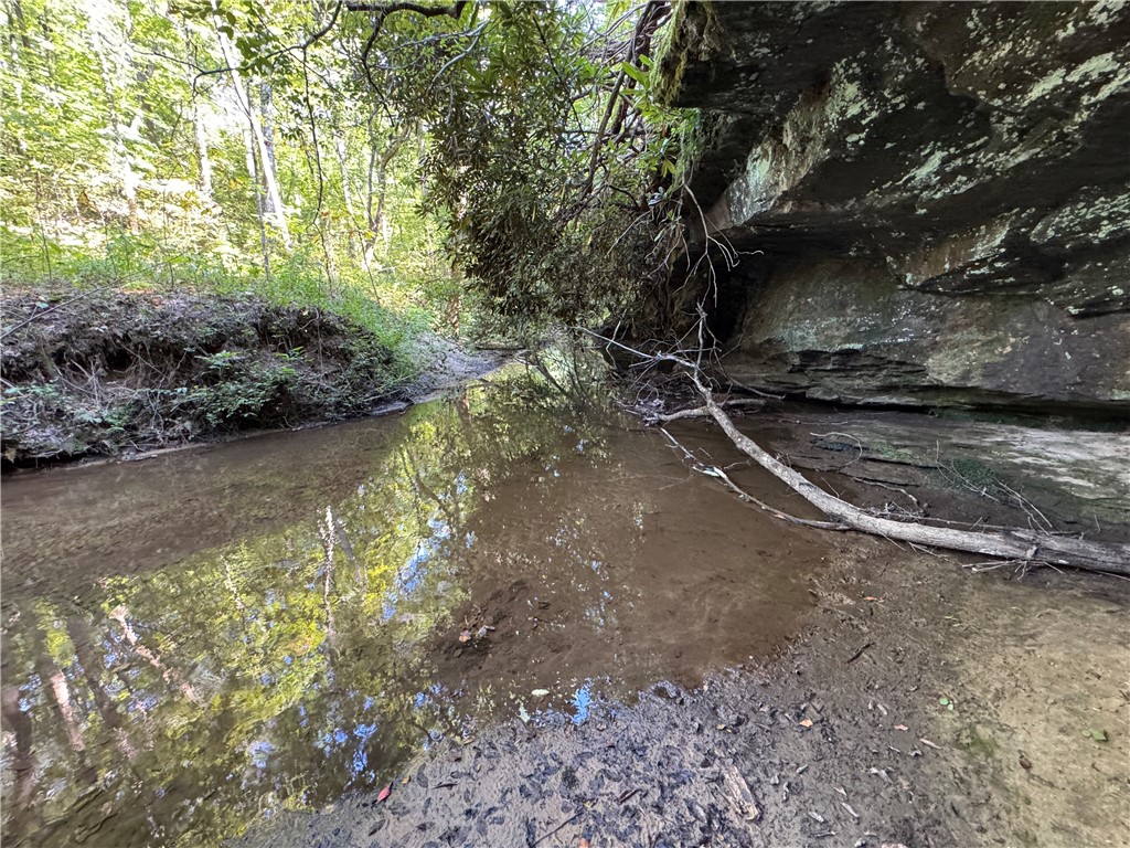 1282 Cobb Bridge Road Westminster, SC 29693 - Photo 20 of 27