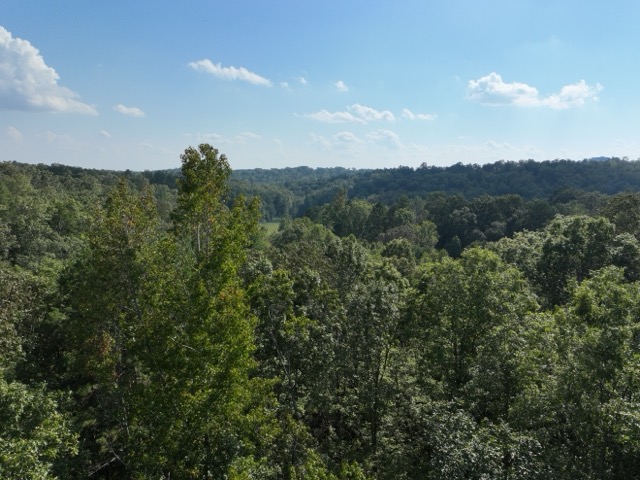 1282 Cobb Bridge Road Westminster, SC 29693 - Photo 2 of 27