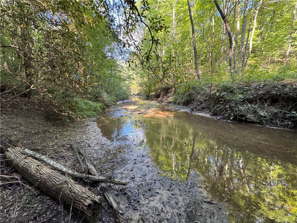 1282 Cobb Bridge Road Westminster, SC 29693 - Photo 21 of 27