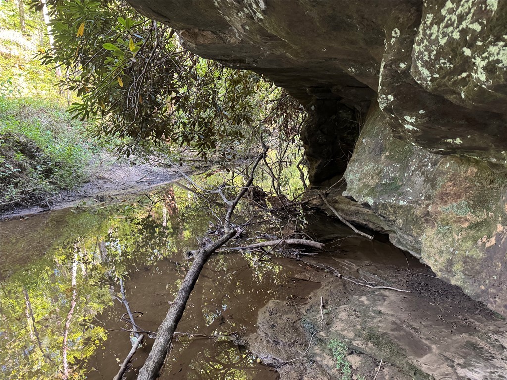 1282 Cobb Bridge Road Westminster, SC 29693 - Photo 22 of 27