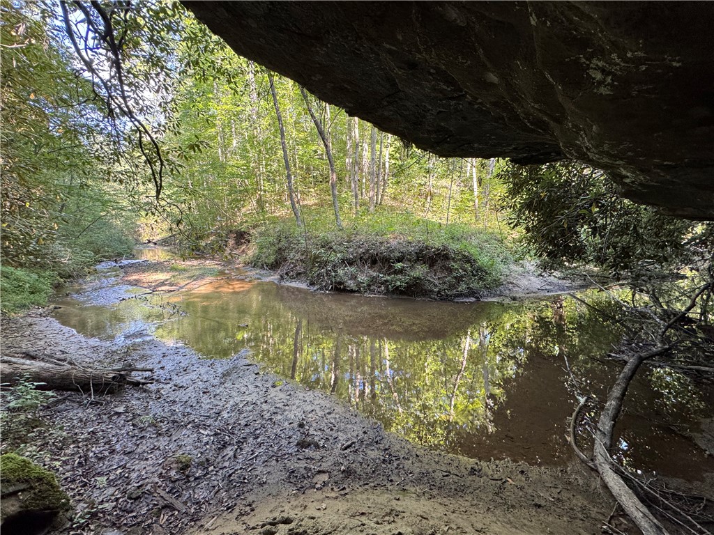 1282 Cobb Bridge Road Westminster, SC 29693 - Photo 23 of 27