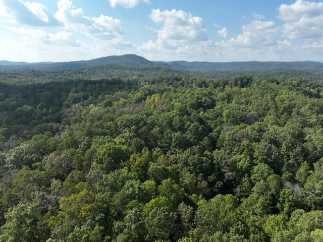 1282 Cobb Bridge Road Westminster, SC 29693 - Photo 3 of 27