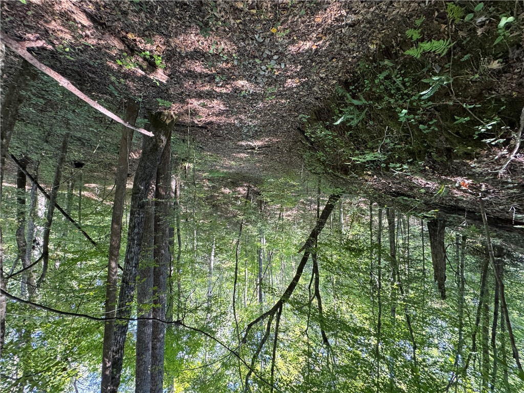 1282 Cobb Bridge Road Westminster, SC 29693 - Photo 5 of 27